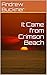 It Came from Crimson Beach