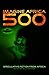 Imagine Africa 500