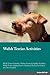 Welsh Terrier Activities by Sam Newman