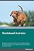 Dachshund Activities Dachshund Activities (Tricks, Games & Ag... by Brian Hamilton