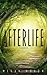 Afterlife in America