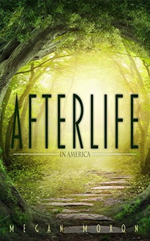 Afterlife in America (Kindle Edition)