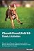 Pharaoh Hound Kelb Tal-Fene...