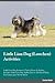 Little Lion Dog Lowchen Activities Little Lion Dog Activities... by Jack Clark