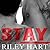 Stay (Blackcreek, #2)