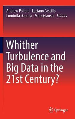 Whither Turbulence and Big Data in the 21st Century? (Hardcover)