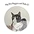 Big Boy Baggers and Baby D: The story of the Big Bold Tom Cat and the Baby who became best friends