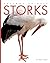 Storks (Amazing Animals)