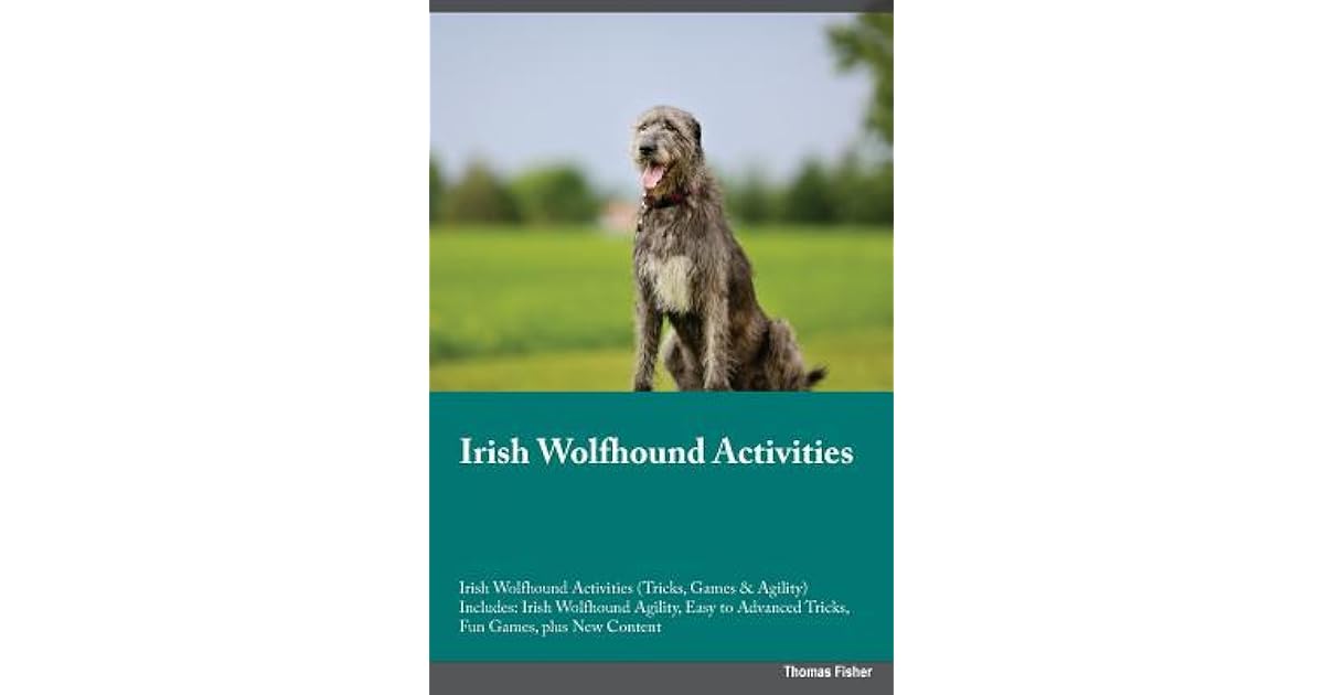 irish wolfhound agility