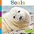 Seals (Seedlings)