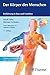 Der Körper des Menschen: Ei...