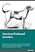 American Foxhound Activitie...
