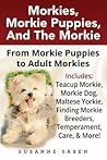 Morkies, Morkie P...