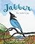 Jabber the Steller's Jay