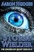 Stormwielder (The Sword of Light Trilogy #1)