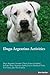 Dogo Argentino Activities D...