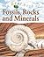 My Best Book of Fossils, Rocks and Minerals
