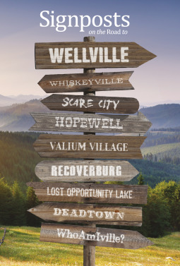 Signposts on the Road to Wellville (Hardcover)