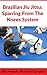 Brazilian Jiu Jitsu Sparrin...