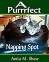 A Purrrfect Napping Spot: A Short Story