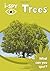 I-Spy Trees
