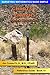 Charts & Graphs (Surveying): Reference Guide (Surveying Mathematics Made Simple Book 15)
