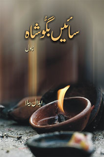 تحميل كتاب Sain Baggu Shah  سائیں بگو شاہ pdf