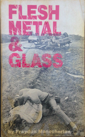 Flesh, Metal & Glass (Paperback)