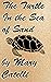 The Turtle in the Sea of Sand