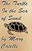 The Turtle in the Sea of Sand by Mary Catelli