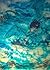 Terra Ocean The legend begi...