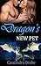 Dragon's New Pet (Dragon Shifter BDSM Erotic Romance)