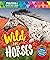 Wild for Horses: Posters & ...