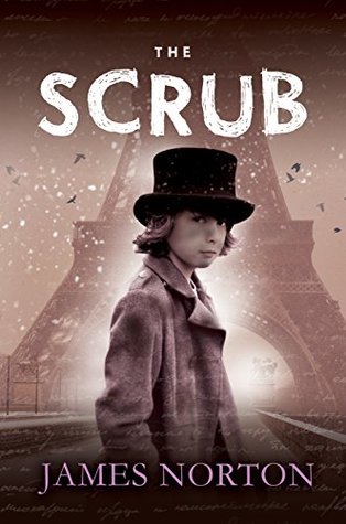 The Scrub (The Ringbook Trilogy 1)