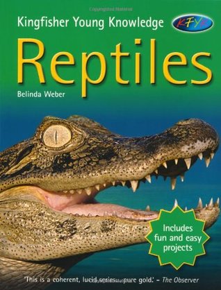 Kfyk Reptiles (Paperback)