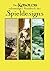 Des Kobolds Handbuch des Spieldesigns: Spieltheorie