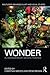 Wonder in Contemporary Artistic Practice (Routledge Advances in Art and Visual Studies)