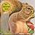 Squirrel Book