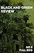 Black and Green Review no 2...