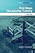 First Steps Discipleship Training: Leader’s Guide (Missional Engagement Series Book 3)