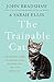 The Trainable Cat by John   Bradshaw