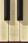 School of Velocity by Eric Beck Rubin