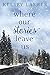 Where Our Stories Leave Us