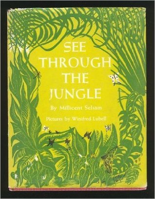 See Through the Forest (Hardcover)