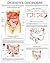 Digestive disorders e chart: Full illustrated