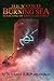 Beyond the Burning Sea by T.B. Schmid