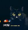 河貓: 有河book街貓記錄