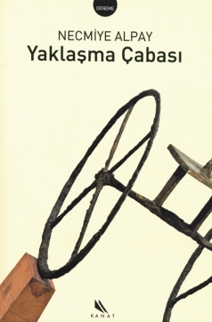 Yaklaşma Çabası