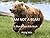 I AM NOT A BEAR! : A Bedtim...