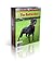 The Rottweiler: The Rottweiler Training and more